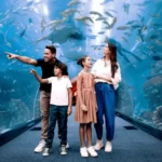 Dubai Aquarium & Underwater Zoo