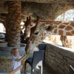 Emirates Park Zoo Abu Dhabi