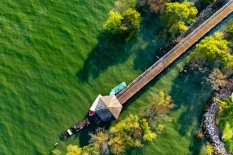 Jubail Mangrove Park