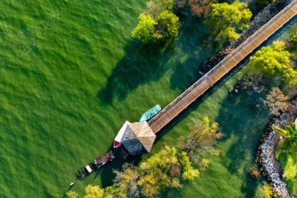 Jubail Mangrove Park
