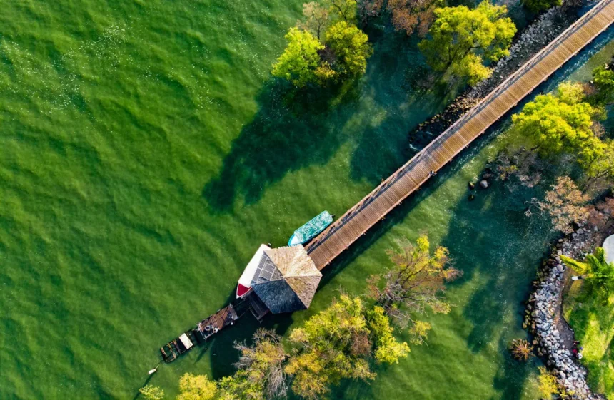 Jubail Mangrove Park